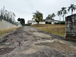 Leedon Park (D10), Detached #543494451